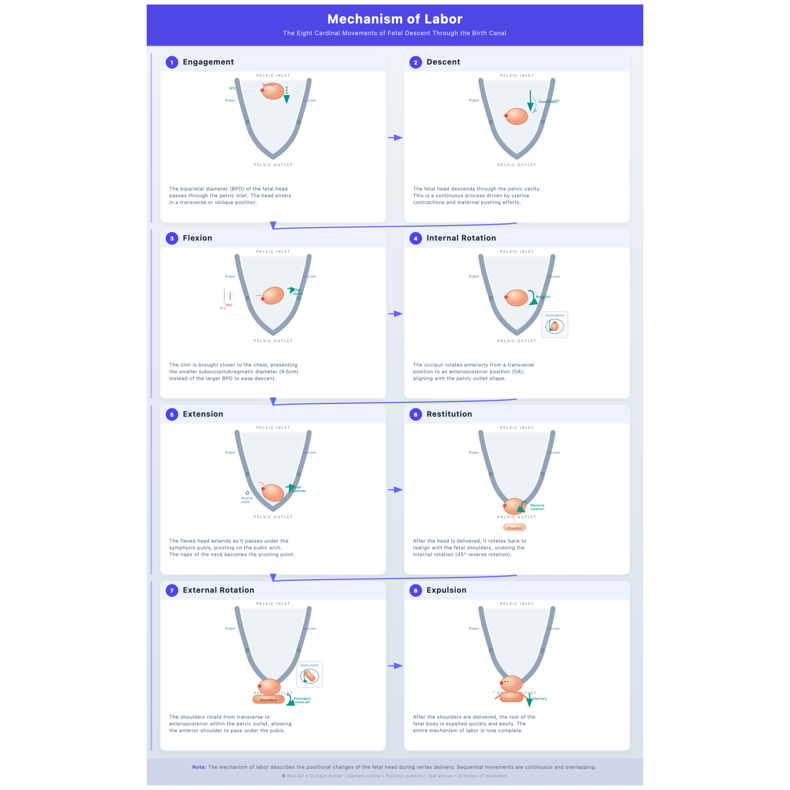 GLM 5.1 Chat